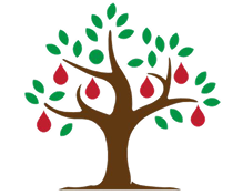 APANHEM TALAVERA Logo