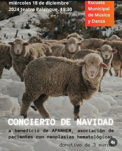 Concierto de Navidad, Escuela Municipal de M&uacute;sica y Danza